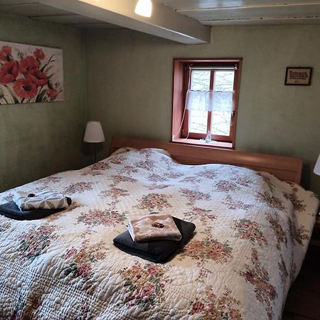 Oekologische Ferienwohnung Becker Kottmar Zewnętrze zdjęcie
