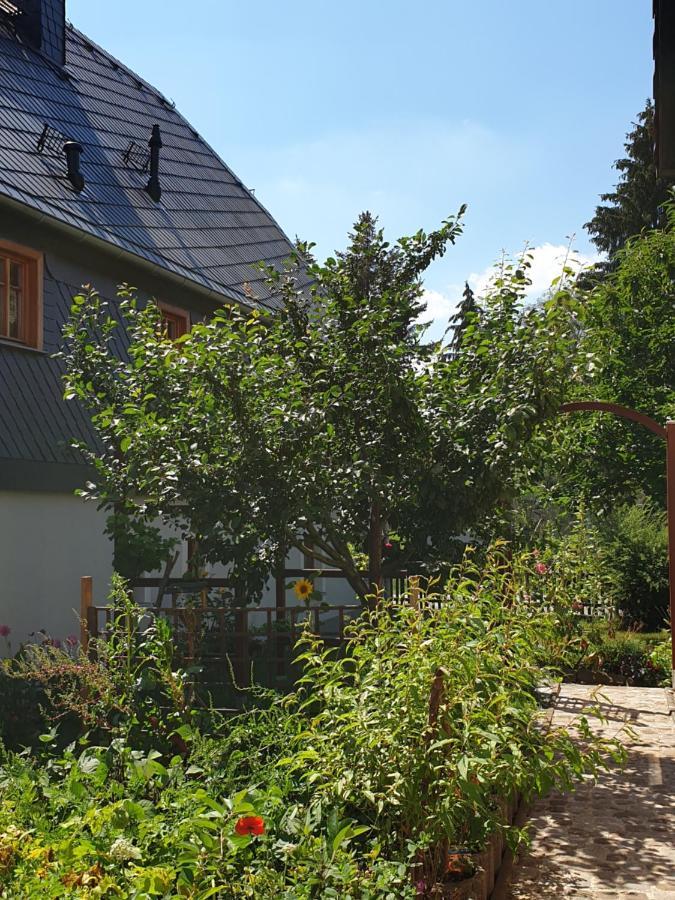 Oekologische Ferienwohnung Becker Kottmar Zewnętrze zdjęcie